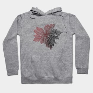 red and black leaf Hoodie